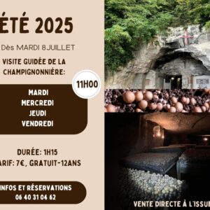VISITE DE LA CHAMPIGNONNIÈRE VISITE DE LA CHAMPIGNONNIÈRE