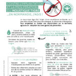 Attention au moustique tigre Attention au moustique tigre