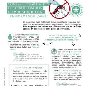 Attention au moustique tigre Attention au moustique tigre