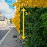 Taille des haies : les trottoirs doivent rester accessibles. Taille des haies : les trottoirs doivent rester accessibles.