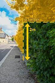 Taille des haies : les trottoirs doivent rester accessibles.  Taille des haies : les trottoirs doivent rester accessibles.