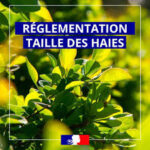 RÈGLEMENTATION TAILLE DE HAIE 