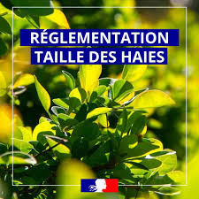 RÈGLEMENTATION TAILLE DE HAIE 
